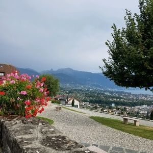 Meet your Posher, Bernadette